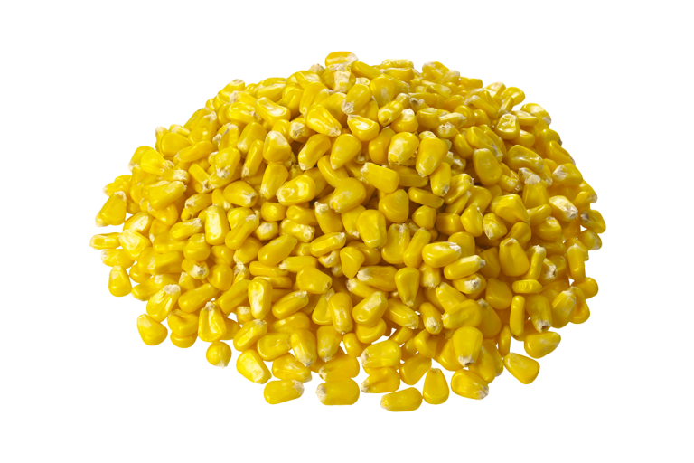 Maiskorrels 6x 2650ml Bestellen Groothandel La Streetfood Maiskorrels 6x 2650ml Bestellen Groothandel La Streetfood
