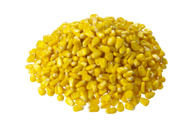 Maiskorrels