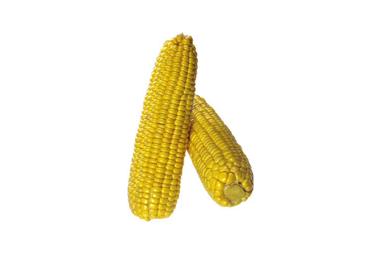 Maiskolf Heel voor Mexicaanse gerechten | LA Streetfood